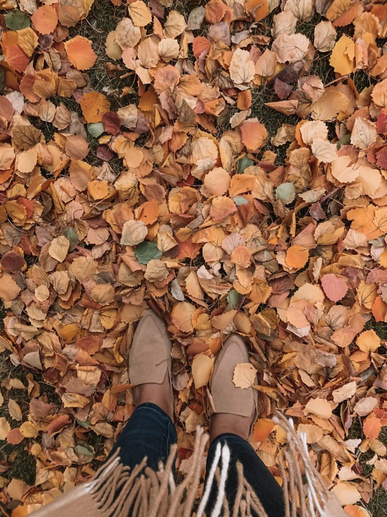 Autumn leaves on the ground. 