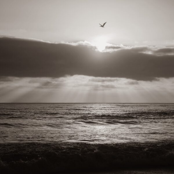 about motherhood main image - a sea scene with the sunset black and white image