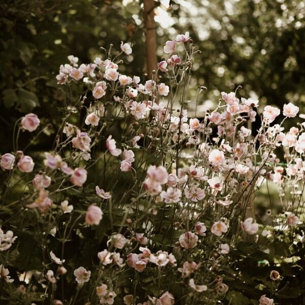 poems about mom guilt main image