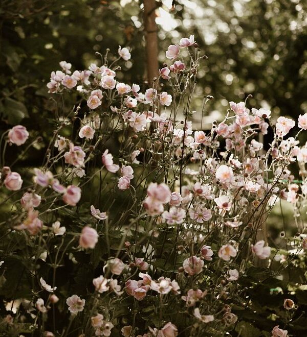 poems about mom guilt main image