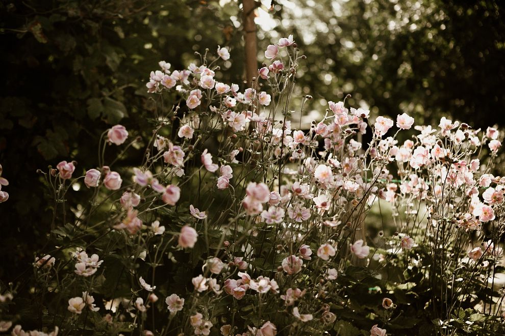 poems about mom guilt main image