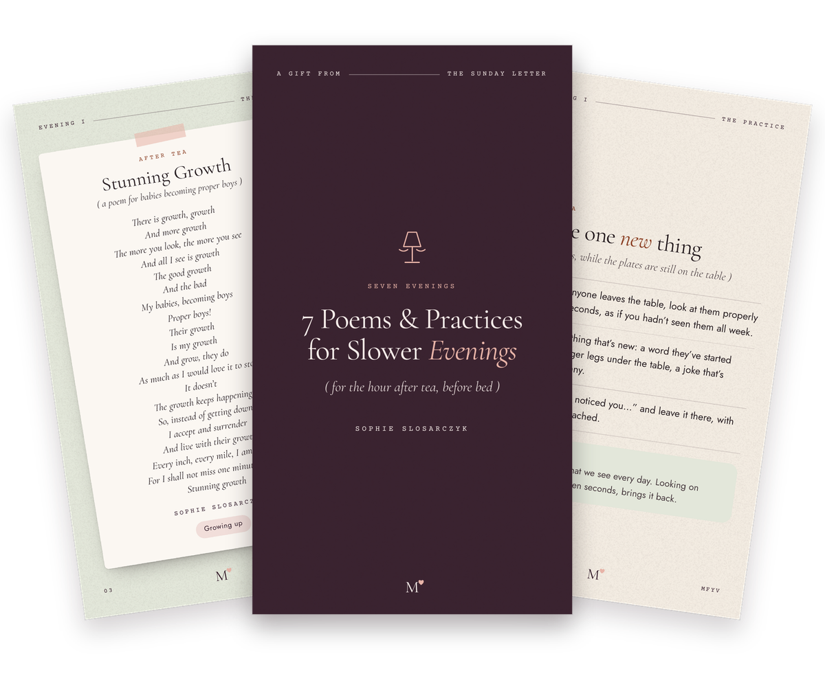 The free gift, 7 Poems and Practices for Slower Evenings: the plum cover fanned between two inside pages, the poem Stunning Growth and the practice Notice one new thing
