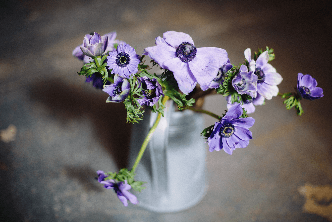 a vase of purple flowers
