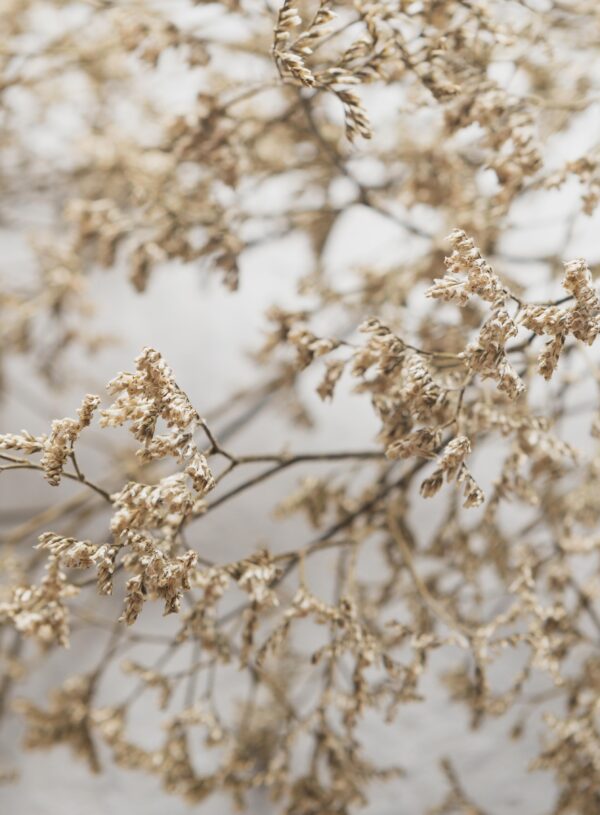 you are not behind main image